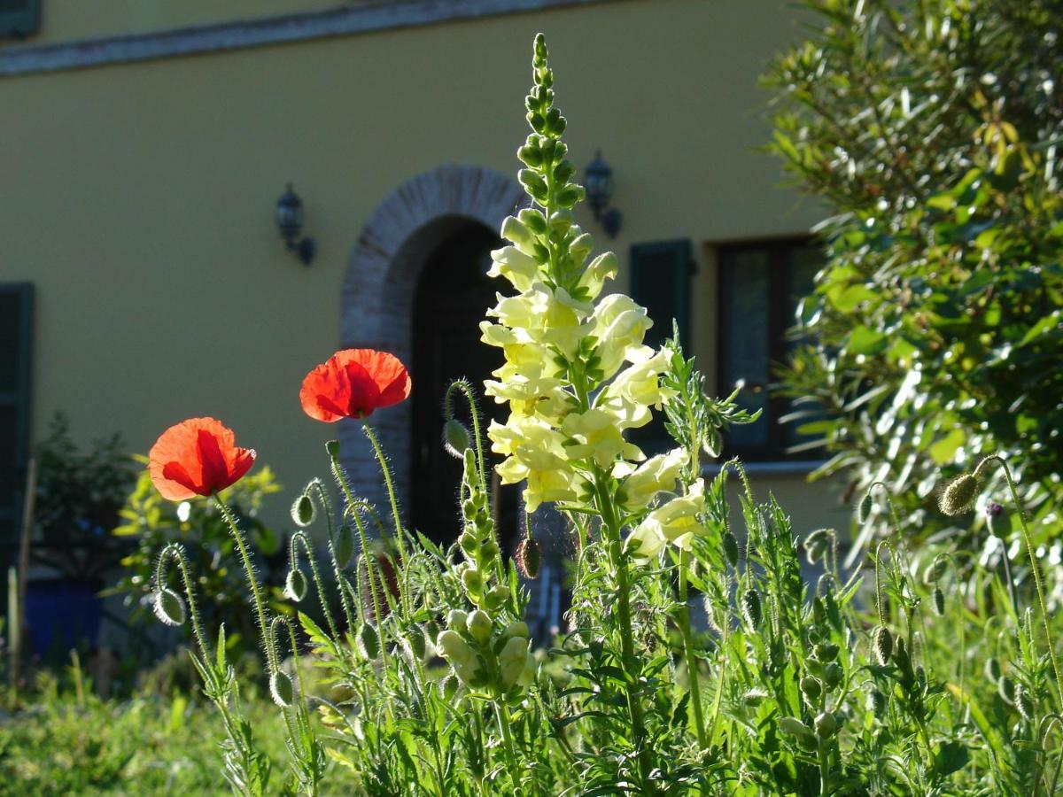 Il Melograno B&B Massignano Exterior foto